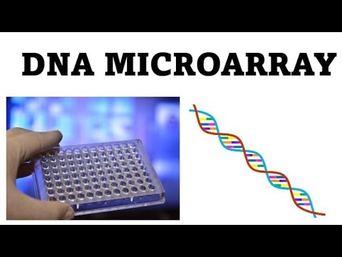 DNA MICROARRAY