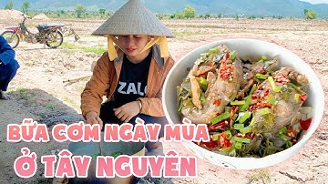 Ngày vào mùa ở Tây Nguyên và món cá chép nấu lá giang cho bữa cơm  ở trên nương | Sour cooked fish