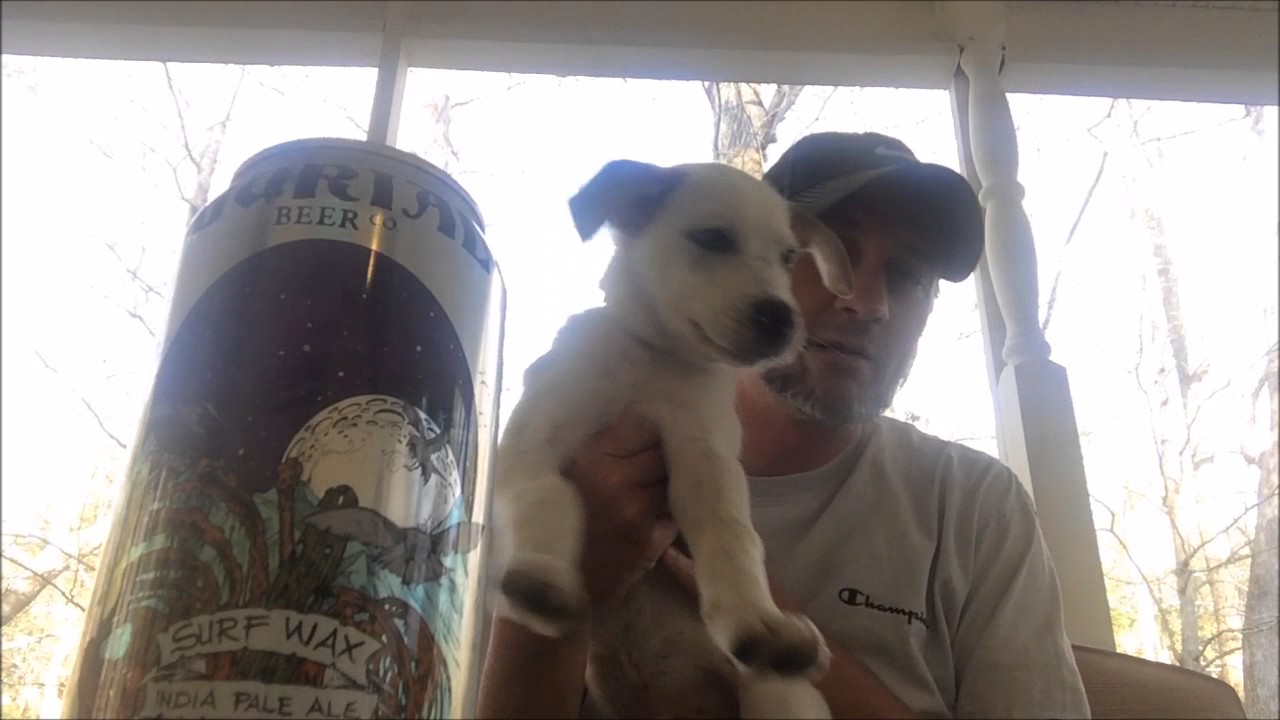 Burial Beer Co. (Asheville, NC) Surf Wax Beer Review YouTube