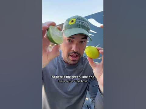 Is an overripe lime…just a lemon?