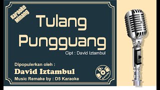 Tulang Pungguang (Karaoke Minang) | David Iztambul