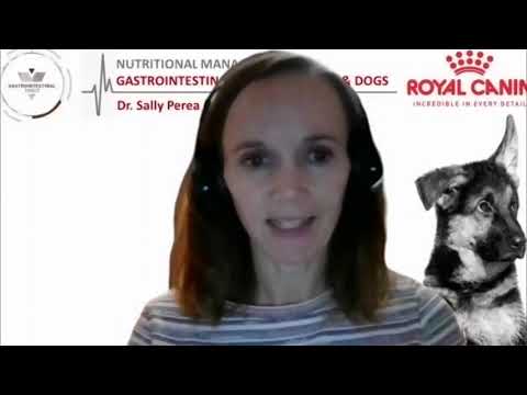 Nutritional Management of Gastrointestinal Diseases in Pets ft. Dr. Sally Perea (DVM, MS, DACVN)