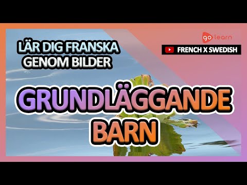 Video: Delar Frankrike En Landgräns Med Nederländerna