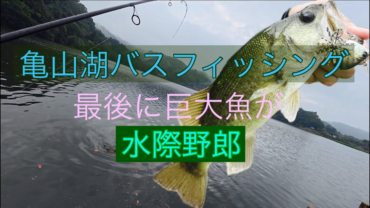 亀山湖オカッパリ【バスフィッシング】巨大魚を求めて。#亀山ダム#ルアーフィッシング