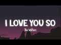 I Love You So - The Walters [Lyrics/Vietsub]
