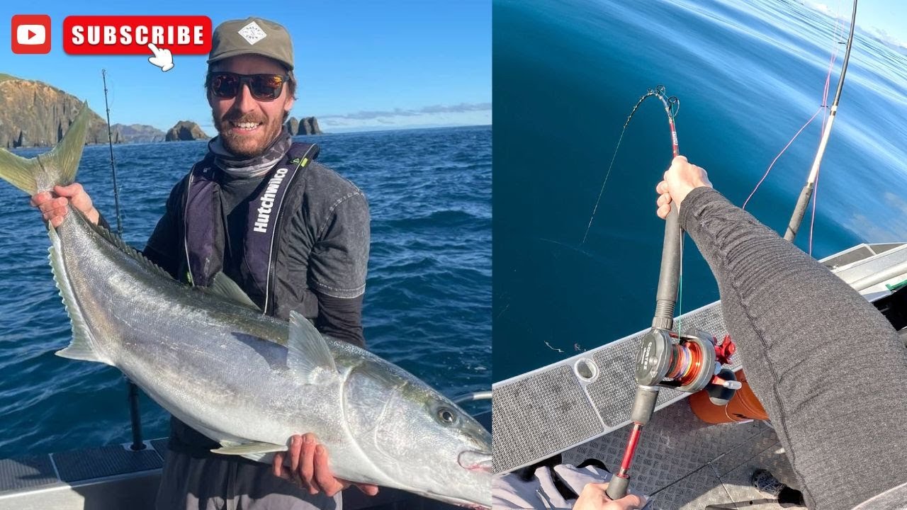 Monster Winter Kingfish Jigging Mission | D’Urville Island NZ