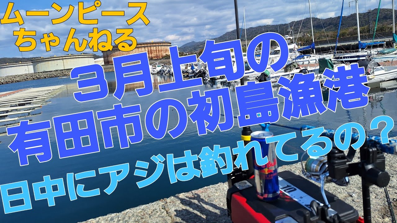 2024/3月上旬の初島漁港の調査
