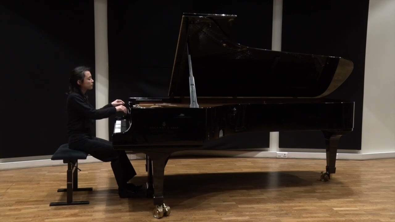 Robert Schumann : Fantasiestücke, Opus 12, In der Nacht, Fabel, Traumes Wirren