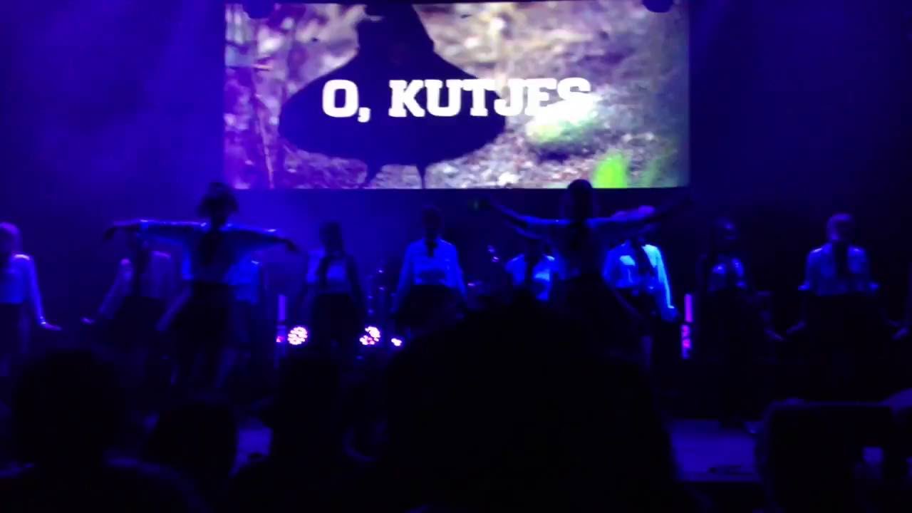 kutjes.