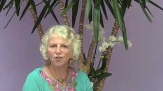 introduction to ayurveda and yoga lecture series trailer