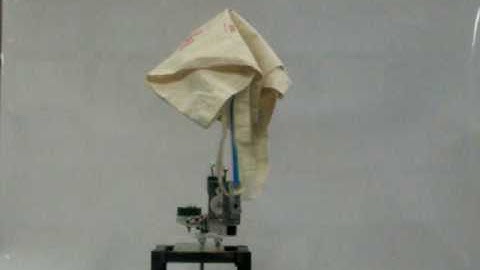 Curtin Mechatronics - Rotary Inverted Pendulum (balancing)