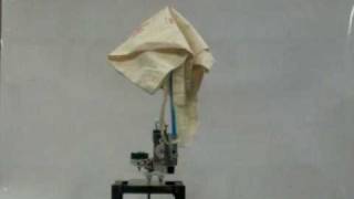 Curtin Mechatronics - Rotary Inverted Pendulum (balancing)