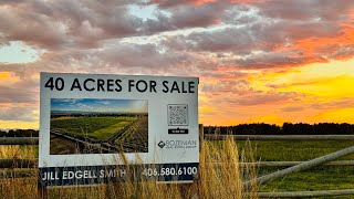  🏔️40 ACRES FOR SALE, A RARE OFFERING FROM FALDO FARM 