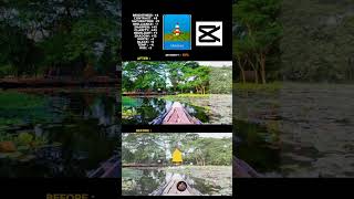 Copy these Color Grading settings for Viral Reels 🚀 #shorts #short #ytshorts