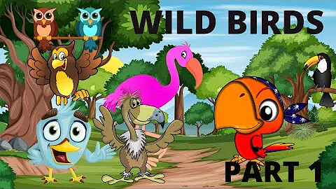 BIRDS Names and Sounds - Learn Bird Species in English.