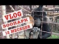 VLOG: Зоопарк 12 месяцев (часть 1) //  ХII Месяцев // с.Демидов Киевская обл.// Киев Украина 2019