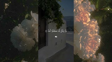 القرآن الكريم راحة نفسية ❤سورة الاخلاص بصوت ماهر المعيقلي ♥♥ فضل سورة الاخلاص تعدل ثلث القرآن الكريم