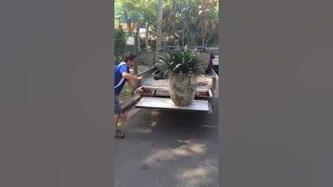 tailgate lifter video