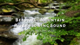 Beautiful Stream Mountain Sound Helps you slow down and listen to your emotions