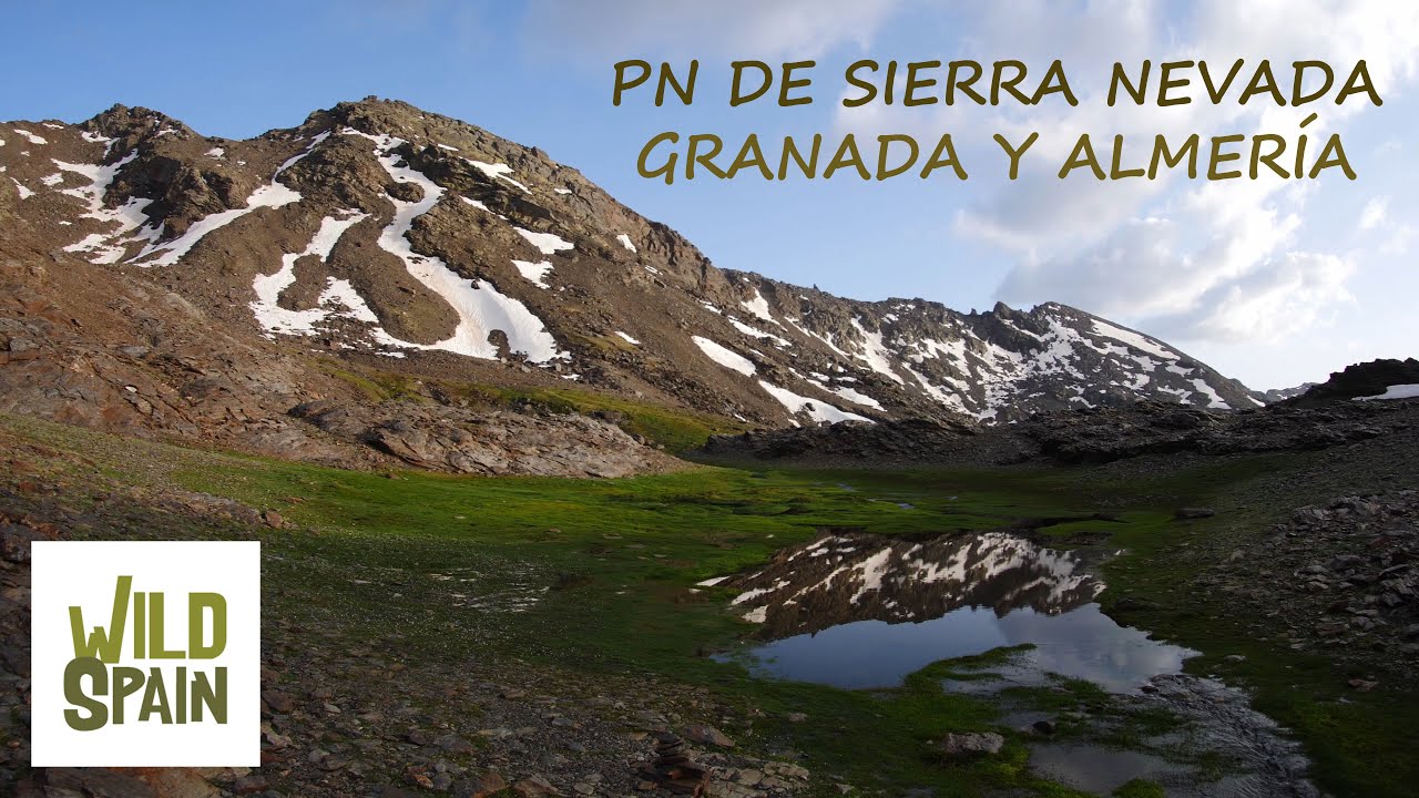 Wild Spain - Capítulo 127 - Parque Nacional de Sierra Nevada, Granada y Almería.