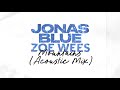 Jonas Blue x Zoe Wees - Mountains (Acoustic Mix) (Lyric Video)