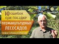 10 ошибок при посадке пермакультурных лесосадов!