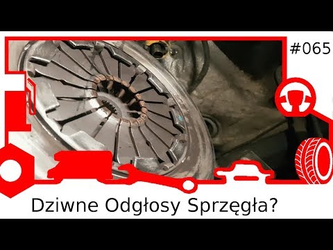 065 Dziwne Odgłosy
