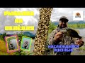 Shad fishing and bass, Columbia river / Рыбалка на селедку река Колумбия Орегон