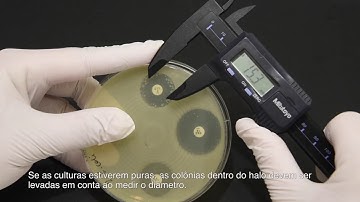 4  Reading of zones Portuguese