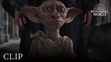 ¿Cómo se llamaba la novia de Dobby?