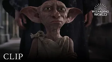 ¿De qué altura es Dobby?