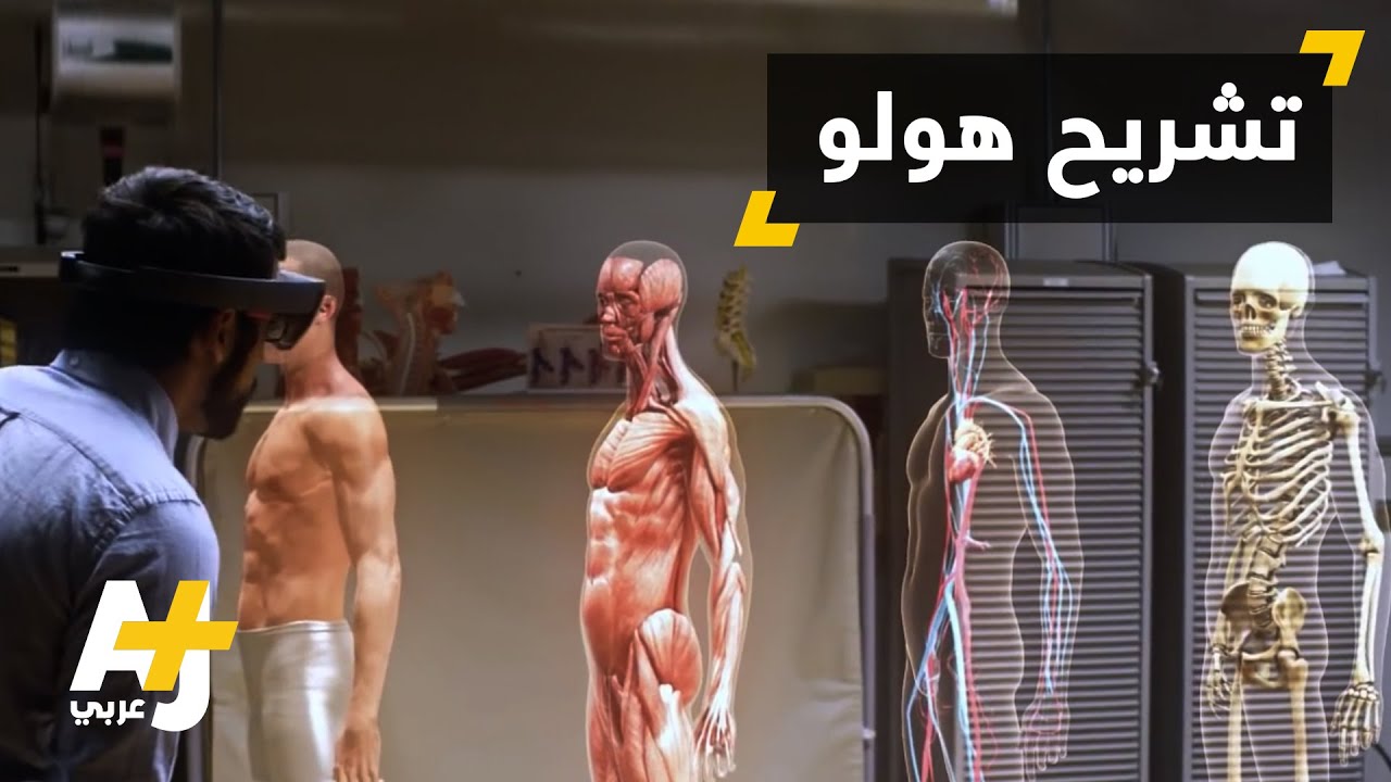 هولوغرام التشريح