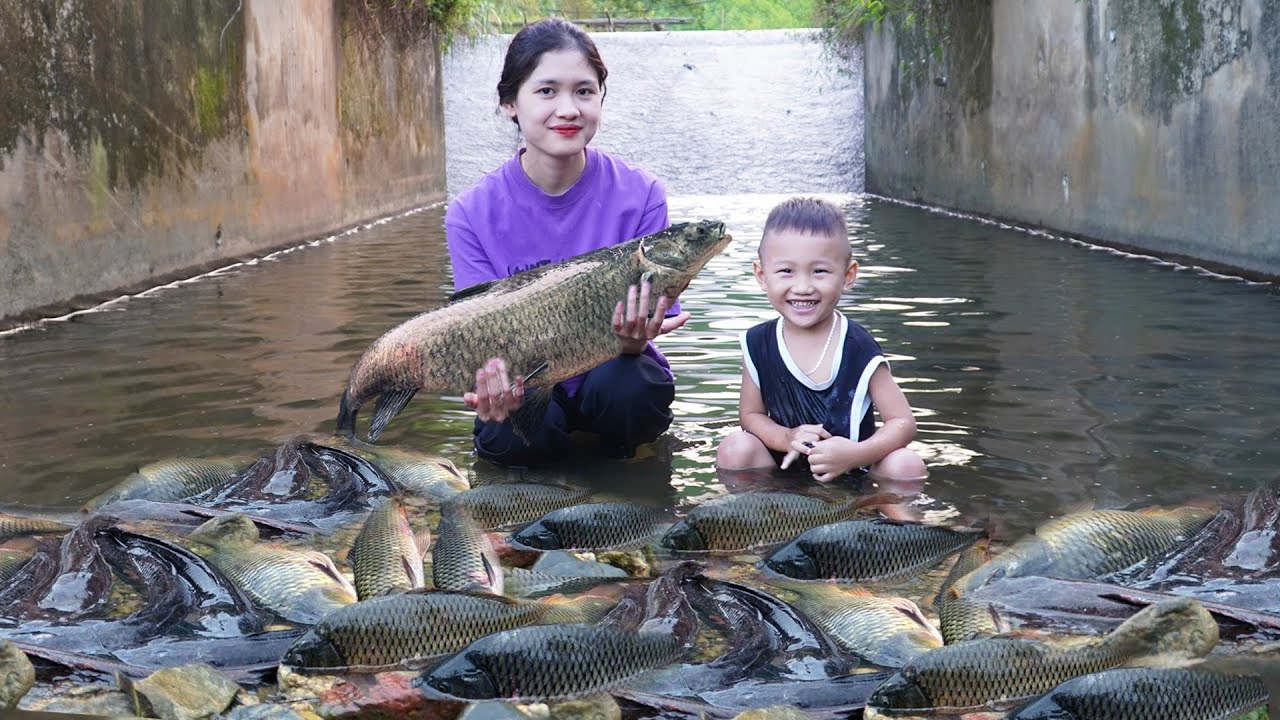 Catch Fish to Sell at The Market to Earn Money to Raise Children ...