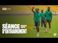 ENTRAINMENT DES LIONS