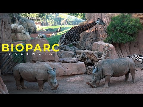 BIOPARC VALENCIA 4K