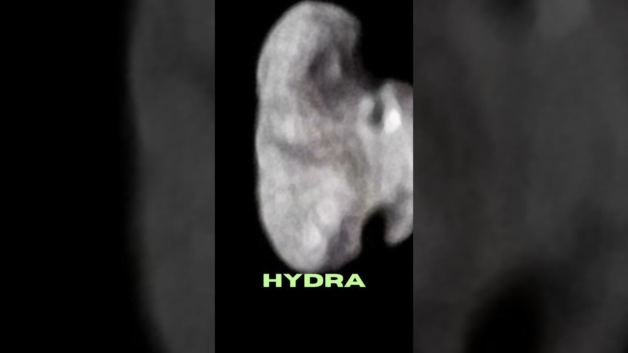 Meet the Five Known Moons of Pluto