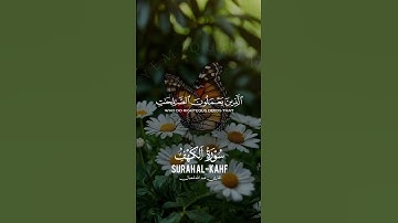 آيات من القرآن الكريم #قران_كريم #قرآن #المصحف #اكسبلور #المصحف #quran #الرحمن #راحة_نفسية
