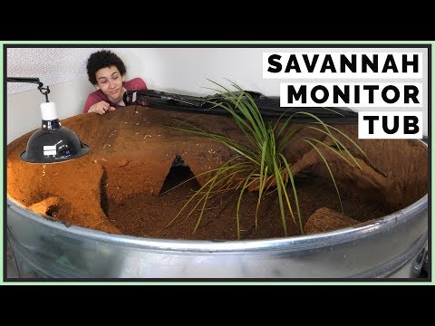 designing-a-400-gallon-savannah-monitor-enclosure!