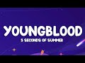 5 Seconds Of Summer Youngblood Lyrics mp3