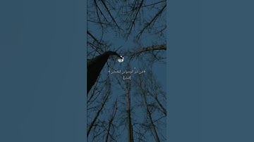 ياسر الدوسري - سورة الناس