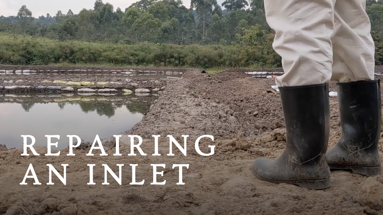 Day 44 Repairing the Pond Inlets YouTube