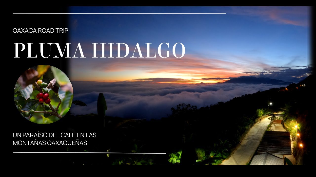 Oaxaca Road Trip, Días 8, 9 y 10,  Pluma Hidalgo