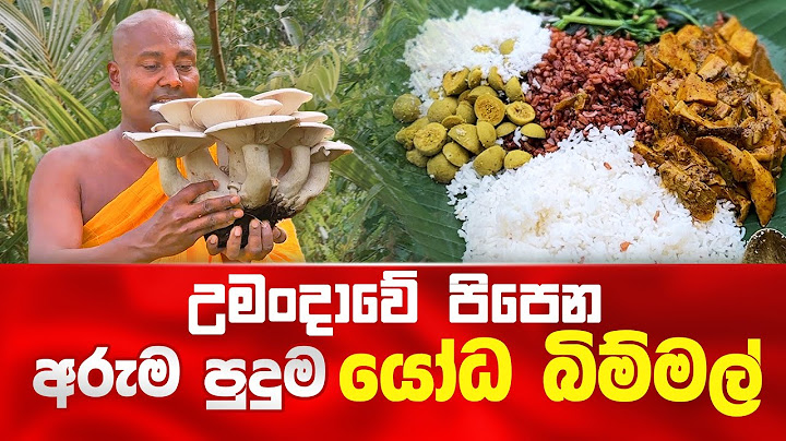 උමංදාවේ පිපෙන අරුම පුදුම යෝධ බිම්මල්  #umandawa