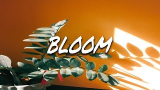 Surfaces - Bloom (Lyrics / Lyric Video)