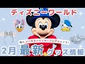 WDW2月】超かわいい🔥ソーサラーミッキーやシンデレラ75周年