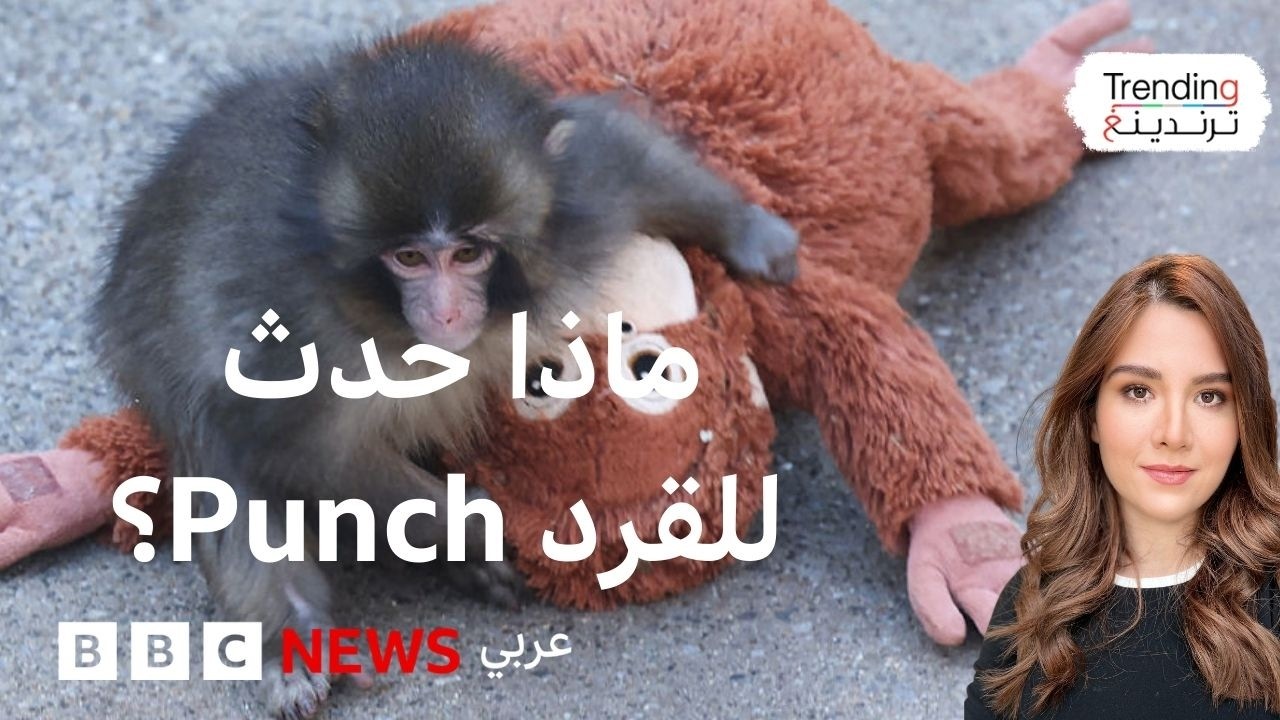 ����� �������� -����- ����� ������ ��� �� ����� ��� ������
 - نشر قبل 9 دقيقة