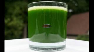 Herb benefits of  Bitter leaf so amazing