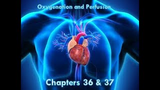 Chapter 36 Oxygenation