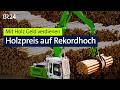 Mit Holz Geld verdienen: Wer profitiert von den hohen Holzpreisen? | BR24 vor Ort