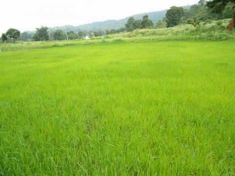 kanmaniye kadhal enbathu mp3 download Kanmaniyae kadhal enbathu song download | kanmaniyae kadhal.